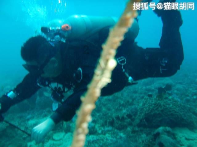 「250kW的发电机能带动150对焊机吗,知识星球平台,专注提供精彩知识」